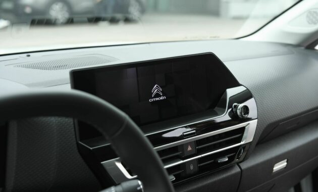 It costs the same per month as its combustion version, has a ZERO label and wants to put an end to SUVs with a new concept