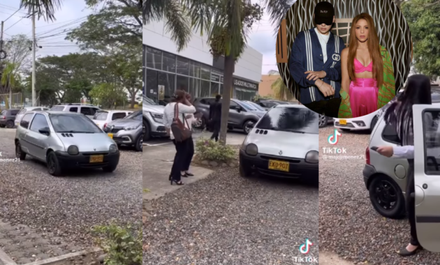 Renault dealer takes advantage of Shakira's song to promote the Twingo (+Video)