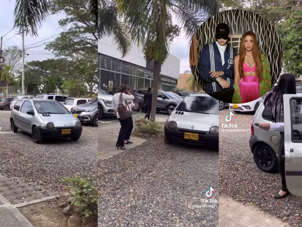 Renault dealer takes advantage of Shakira's song to promote the Twingo (+Video)