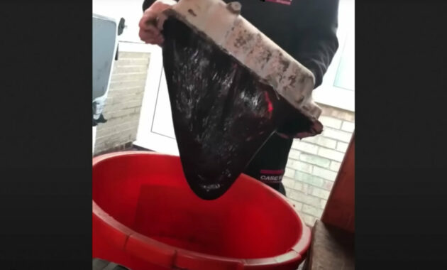 This is what happens if you fill the engine of your Peugeot 306 diesel (and any other car) with cooking oil