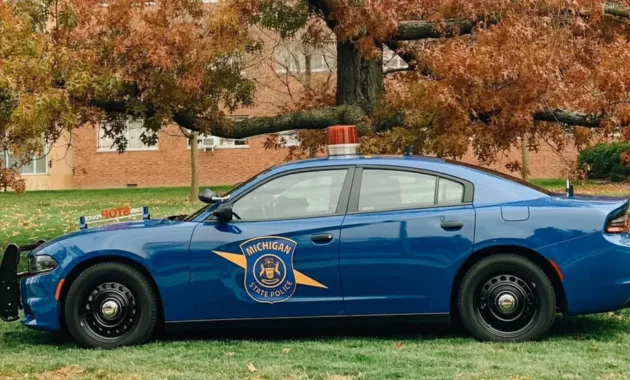 USA: Drunk Driver Running Out of Gas Calls Police, Claiming He's Been Shot