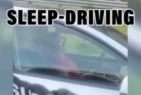 Tesla Model Y driver is recorded sleeping while traveling on the highway