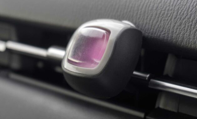 The 6 Best Air Fresheners for Cars