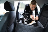Safety on wheels: the best dog seats of 2025
